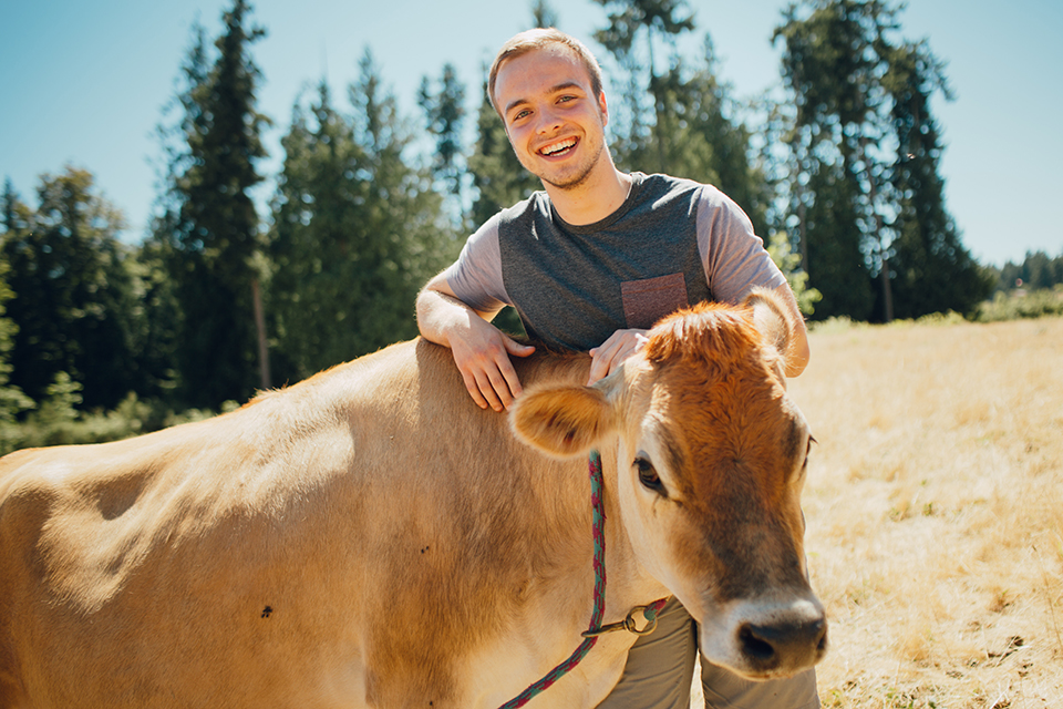 chadi and cow